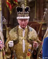 国王杯在线直播观看免费