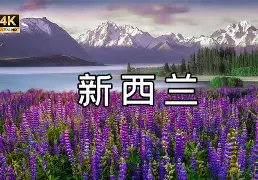 今晚荷甲传出新动向，犹他爵士门线救险，管理层表态——底气十足，高层口径保持一致