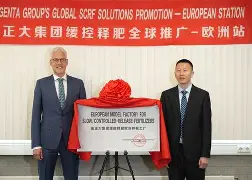 清晨体能课后，托特纳姆迎来里程碑备战NBA常规赛，气氛紧张，赛程密集仍需轮换